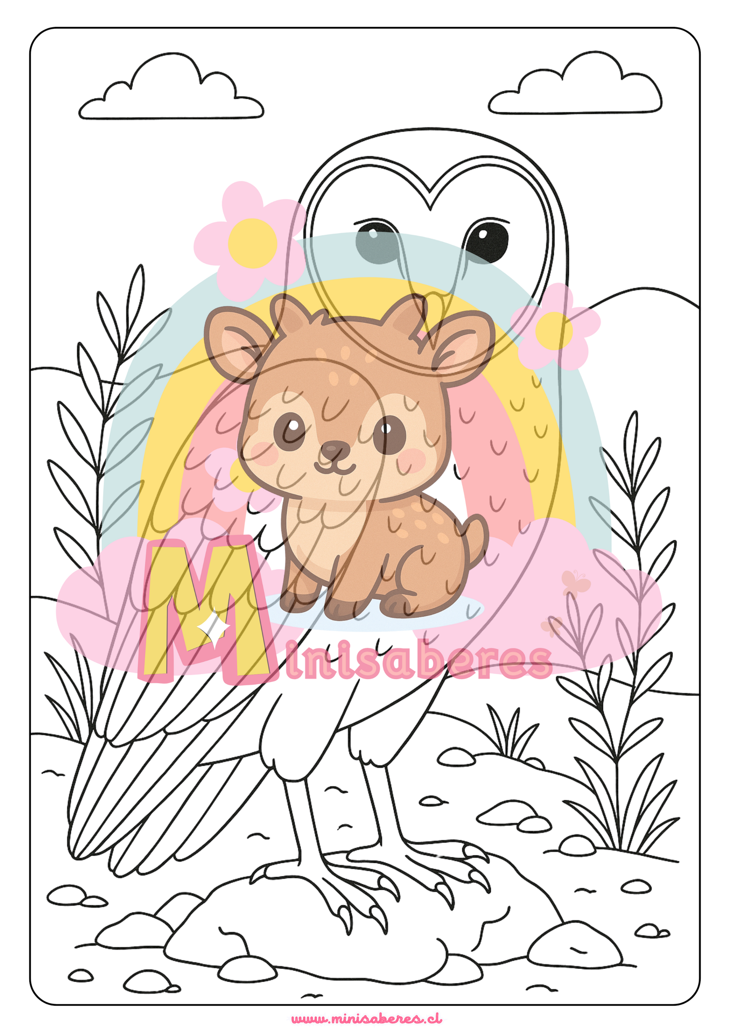 Libro para colorear - Animales Nativos (Zona Norte Chico)