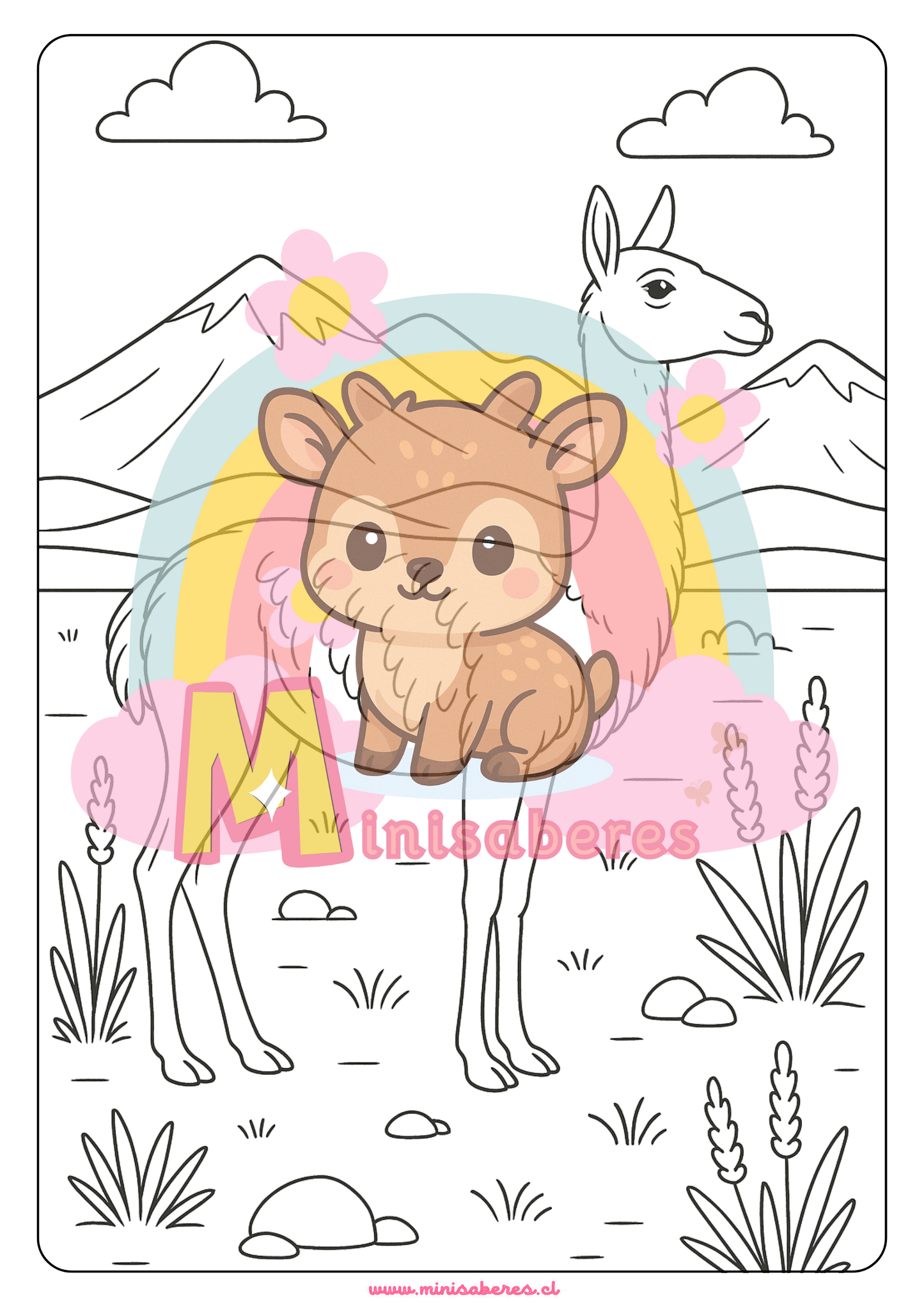 Libro para colorear - Animales Nativos (Zona Norte Chico)