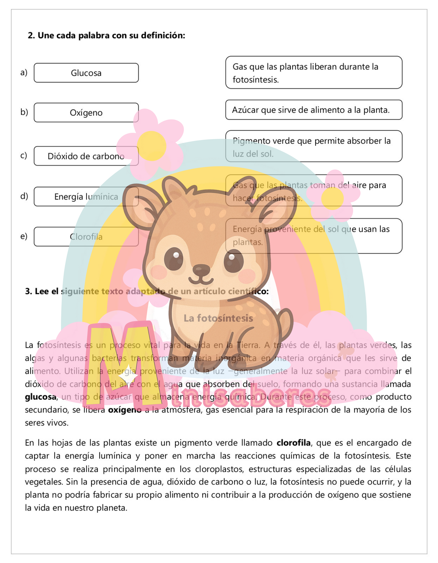 Guía "Factores esenciales para la fotosíntesis" – Ciencias Naturales 6° básico