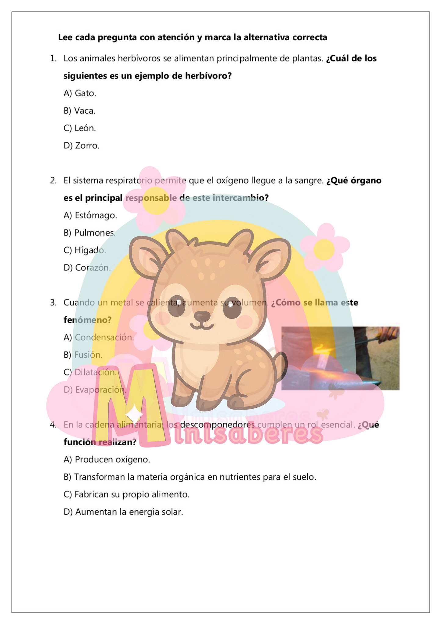 Ensayo SIMCE Ciencias 4° Básico – N°3