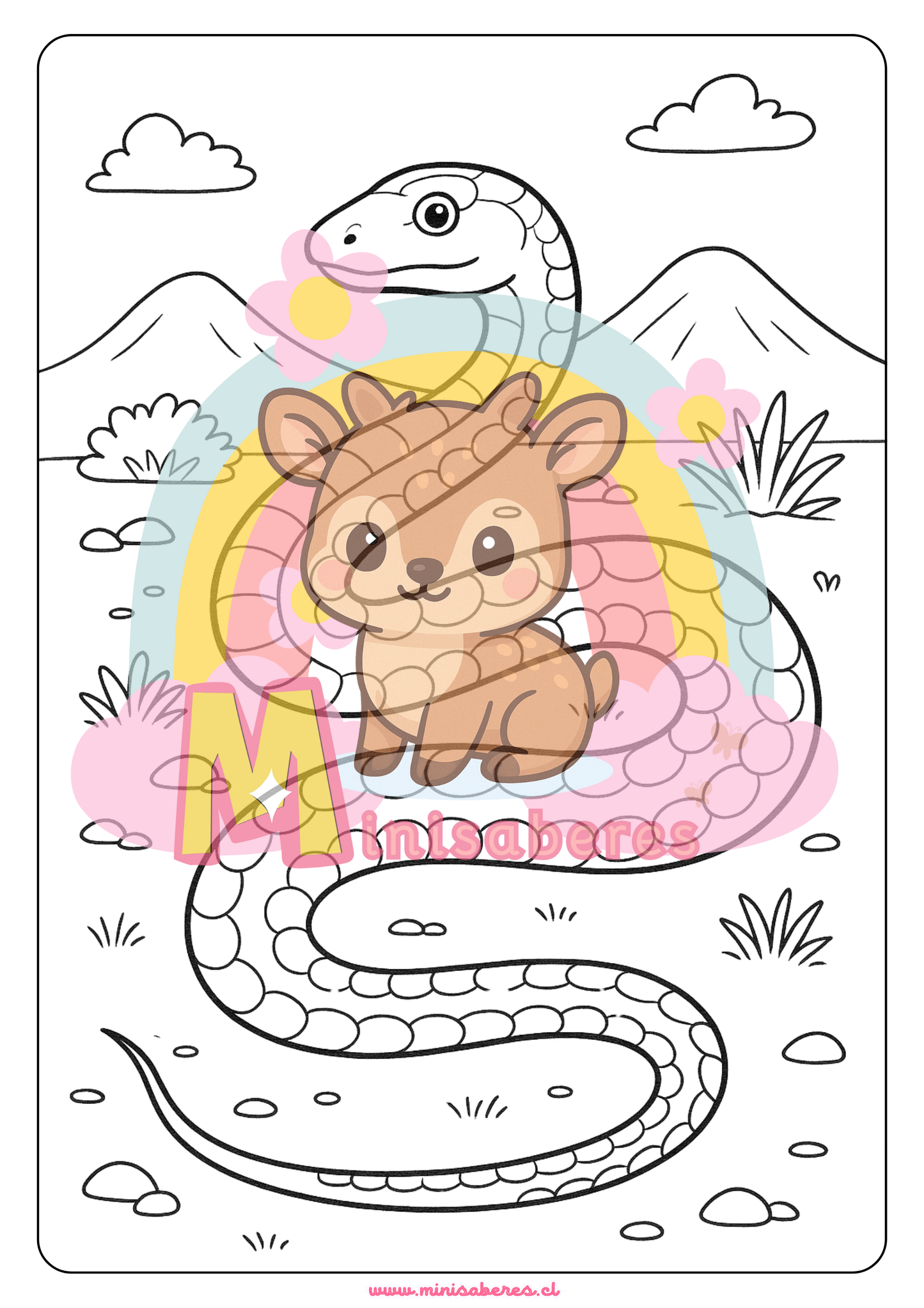 Libro para colorear - Animales Nativos (Zona Norte Chico)