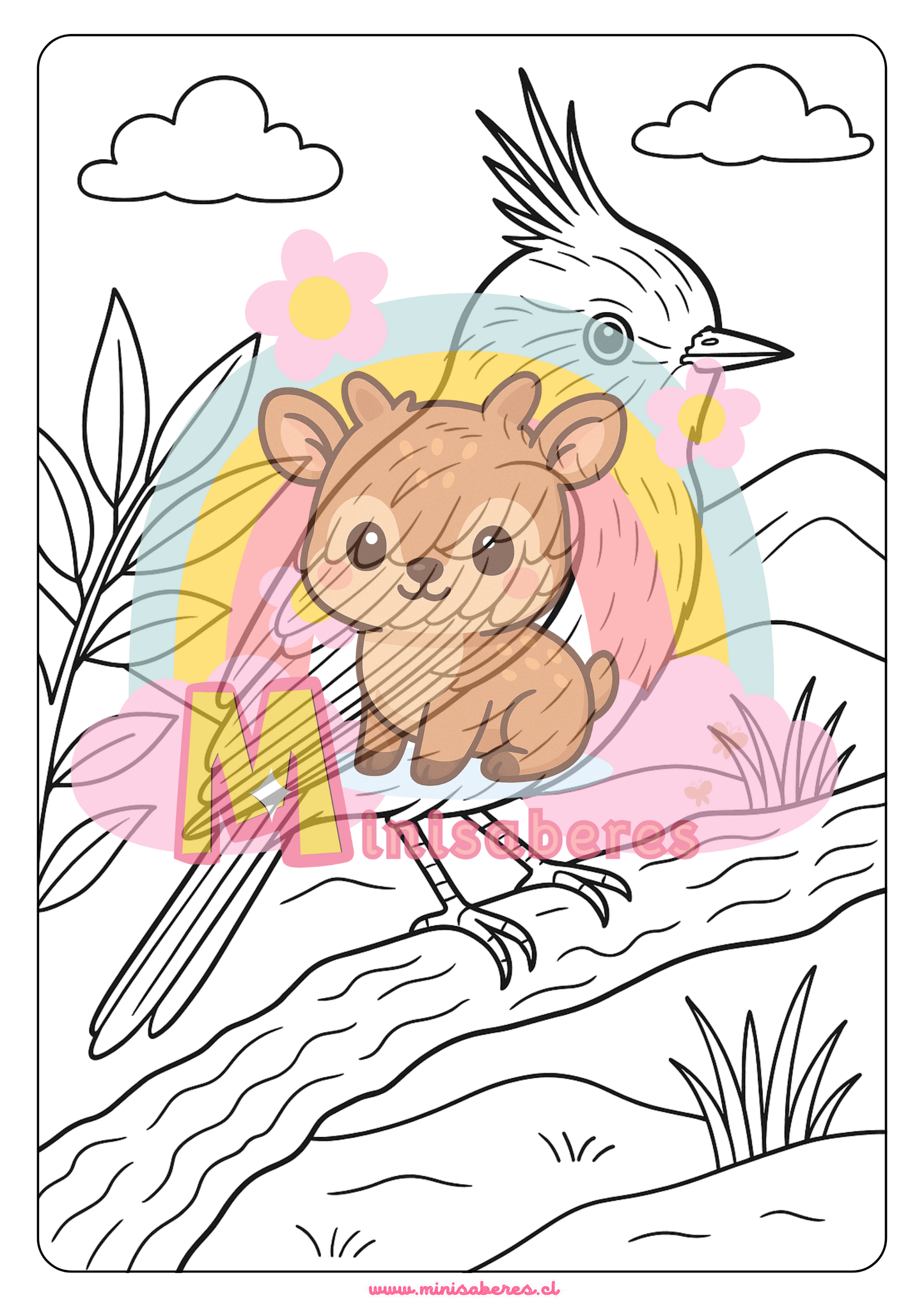 Libro para colorear - Animales Nativos (Zona Norte Chico)