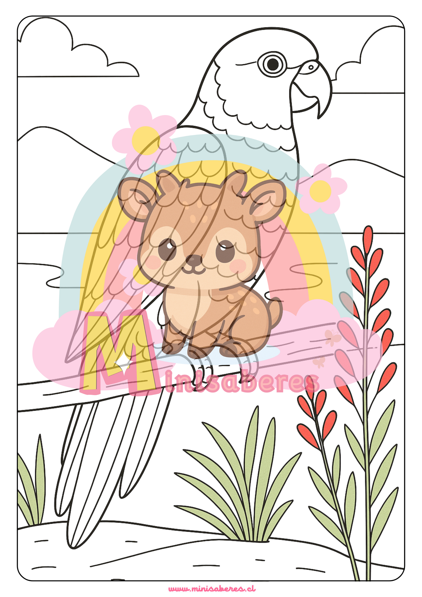 Libro para colorear - Animales Nativos (Zona Norte Chico)