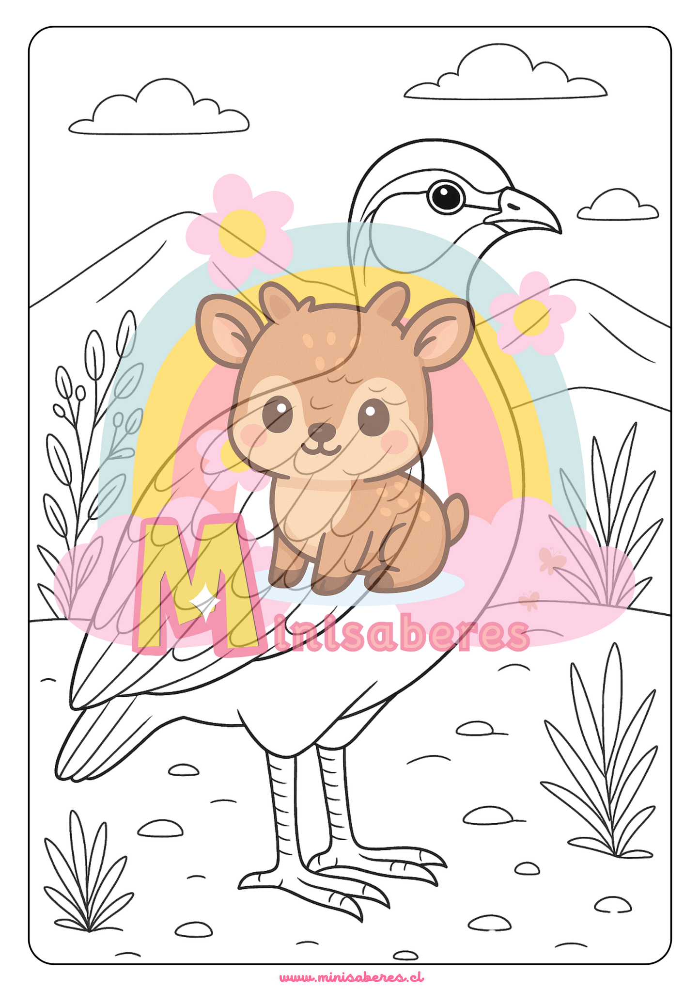 Libro para colorear - Animales Nativos (Zona Norte Chico)