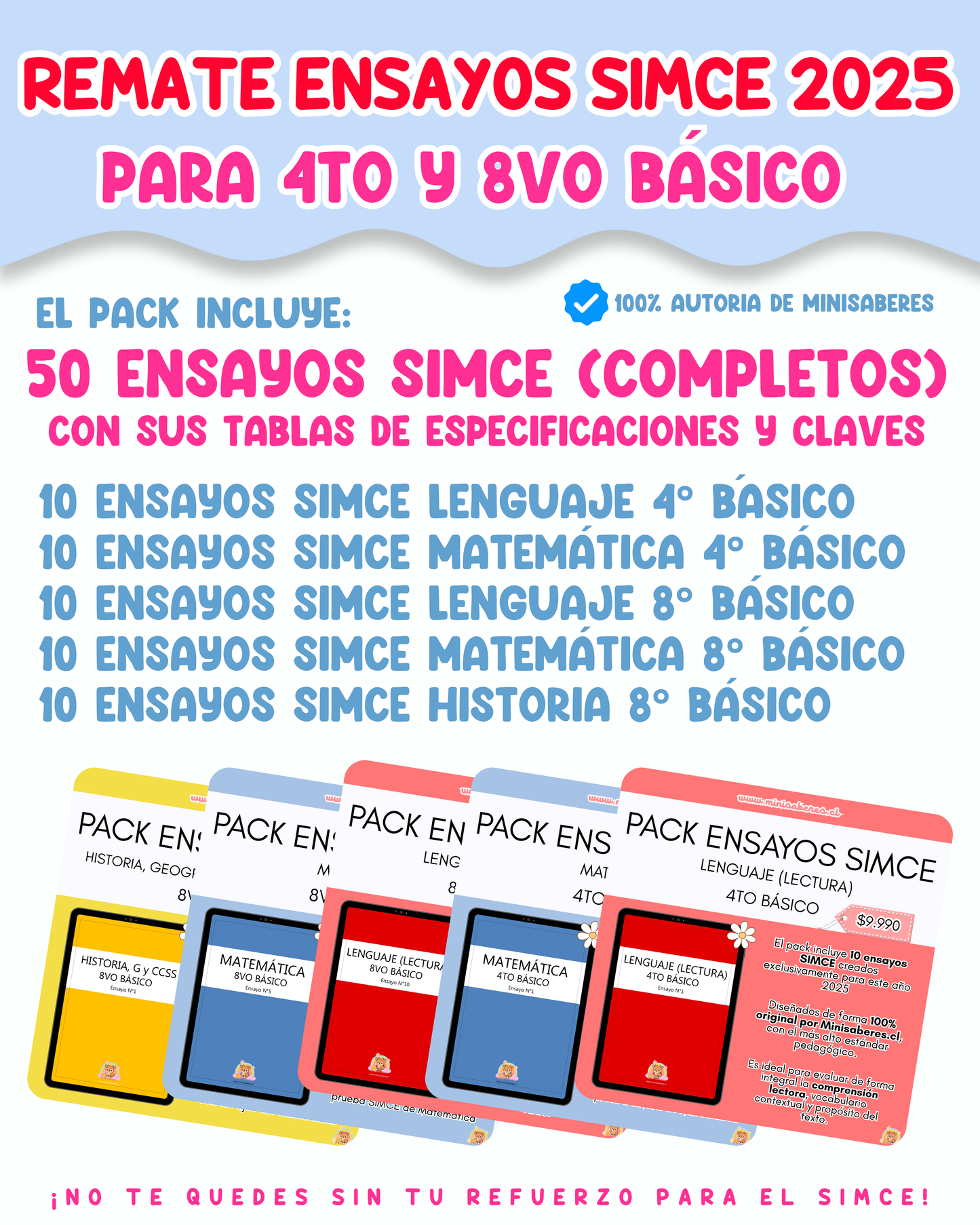 REMATE Ensayos SIMCE - 2025