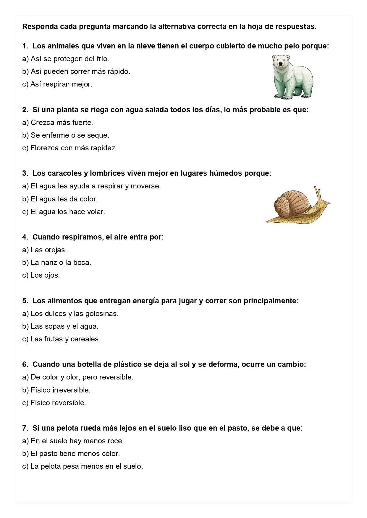 Ensayo SIMCE B - Ciencias 2° básico