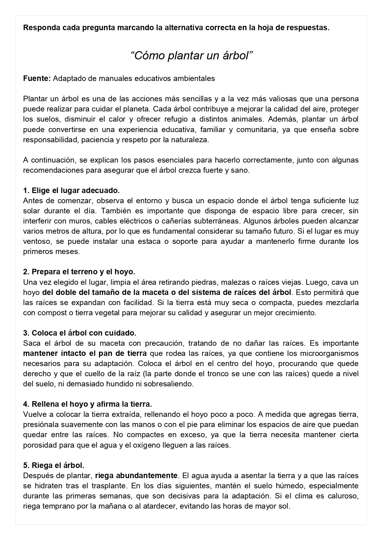 Ensayo SIMCE D - Lenguaje 8° básico