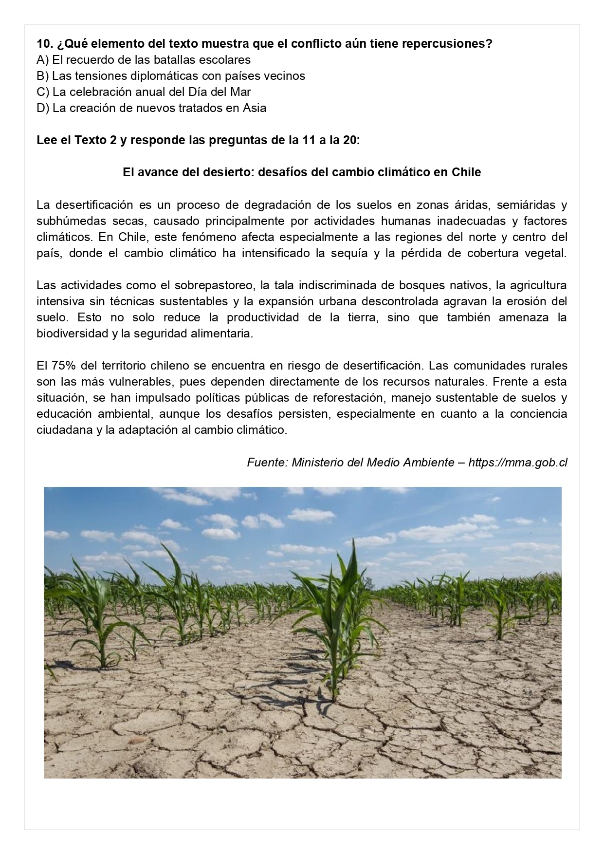 Ensayo SIMCE E - Historia 8° básico