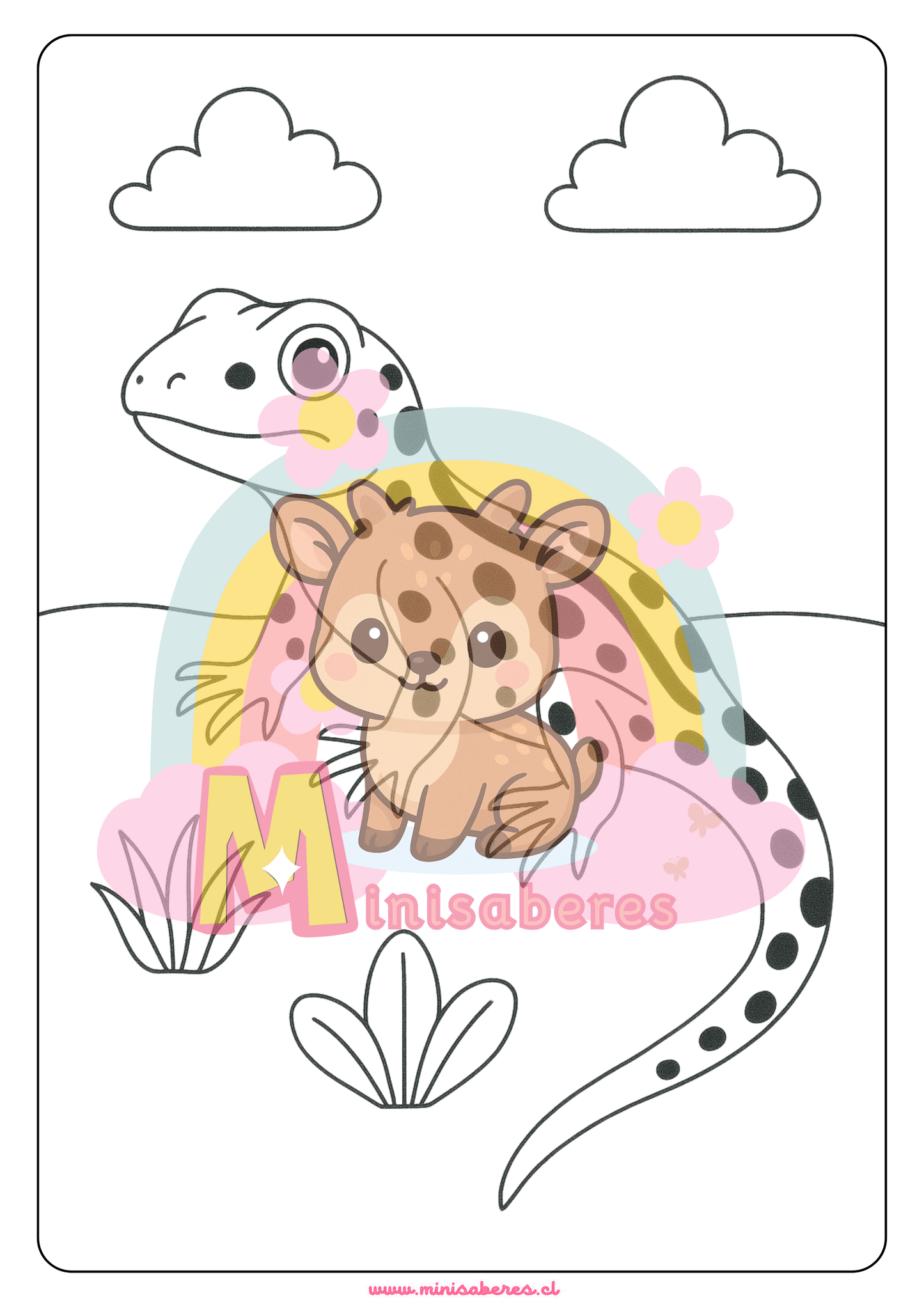 Libro para colorear - Animales Nativos (Zona Norte)