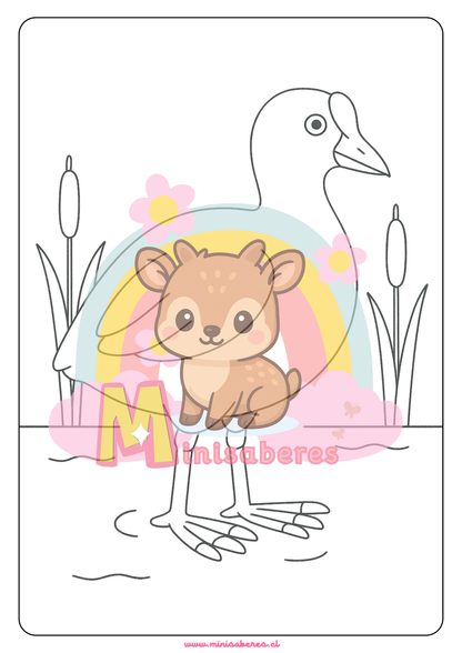 Libro para colorear - Animales Nativos (Zona Norte)