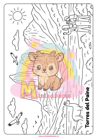 Libro para colorear - Lugares de Chile