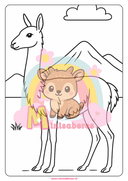 Libro para colorear - Animales Nativos (Zona Norte)
