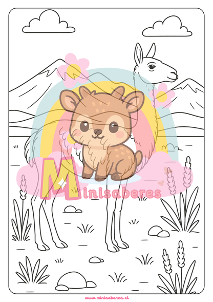 Libro para colorear - Animales Nativos (Zona Norte Chico)