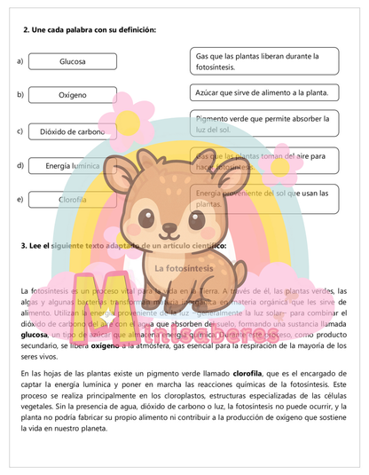 Guía "Factores esenciales para la fotosíntesis" – Ciencias Naturales 6° básico