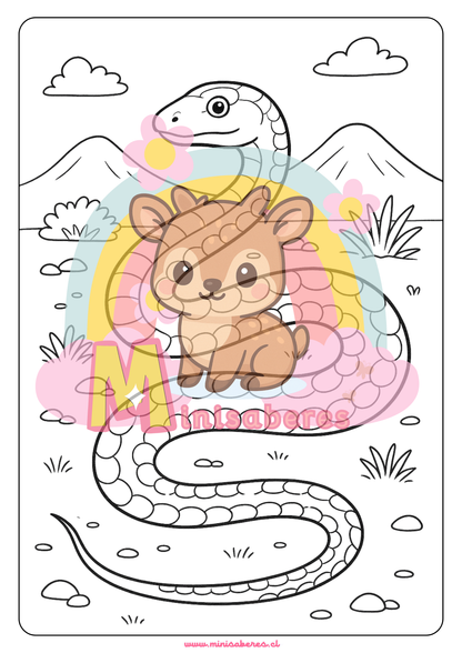 Libro para colorear - Animales Nativos (Zona Norte Chico)