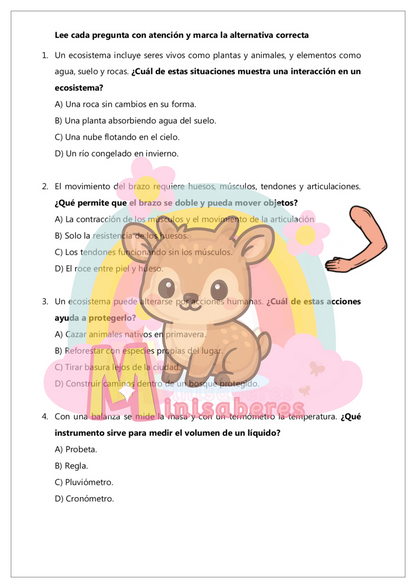 Ensayo SIMCE Ciencias 4° Básico – N°1