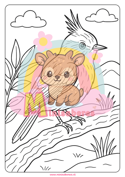 Libro para colorear - Animales Nativos (Zona Norte Chico)