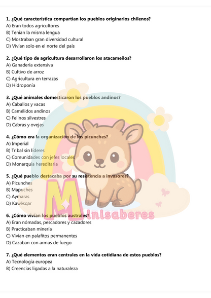 Ensayo SIMCE Historia 8° Básico – N°8