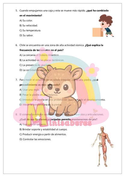 Ensayo SIMCE Ciencias 4° Básico – N°2