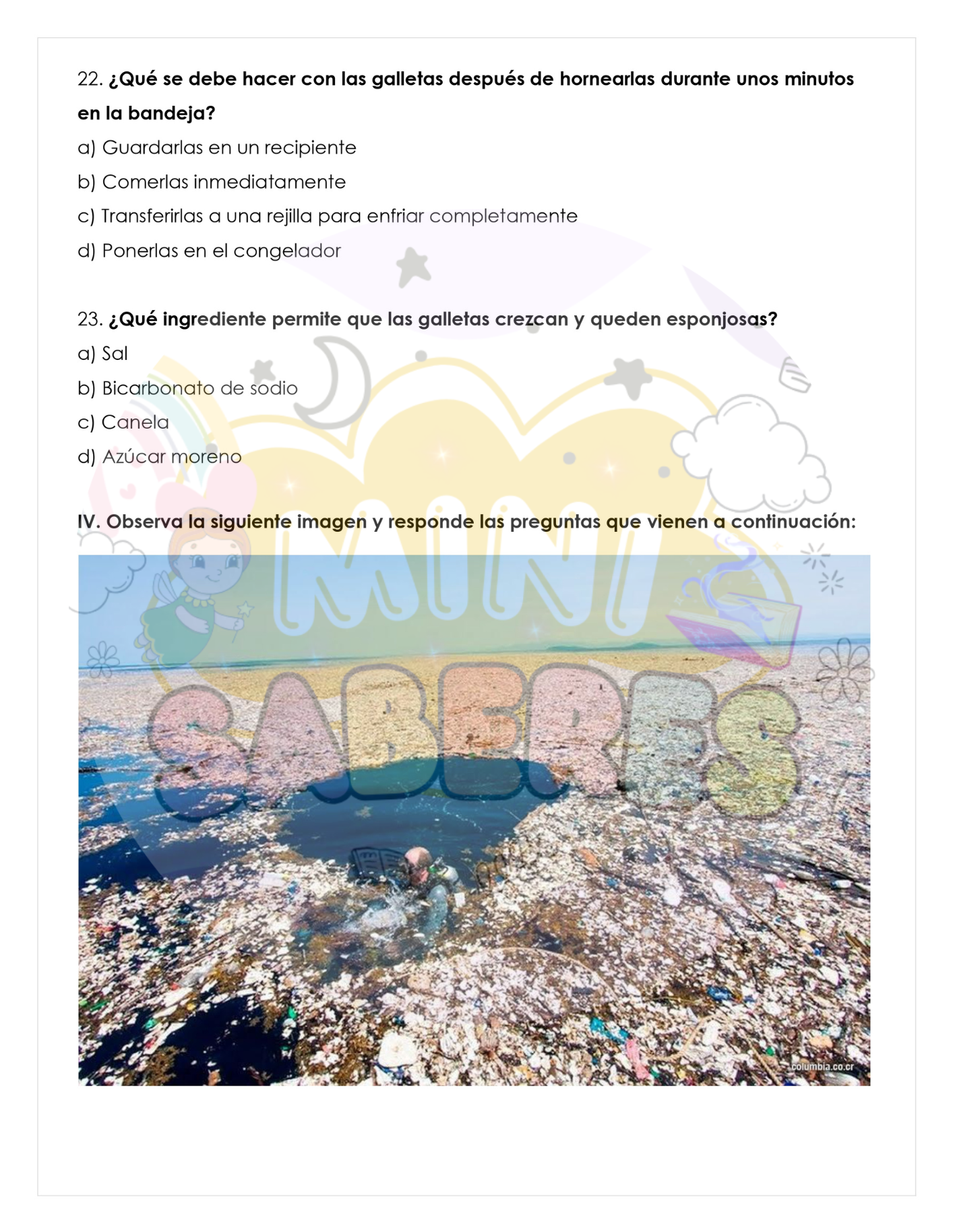 Ensayo SIMCE N1 - Lenguaje y Comunicación 4° básico