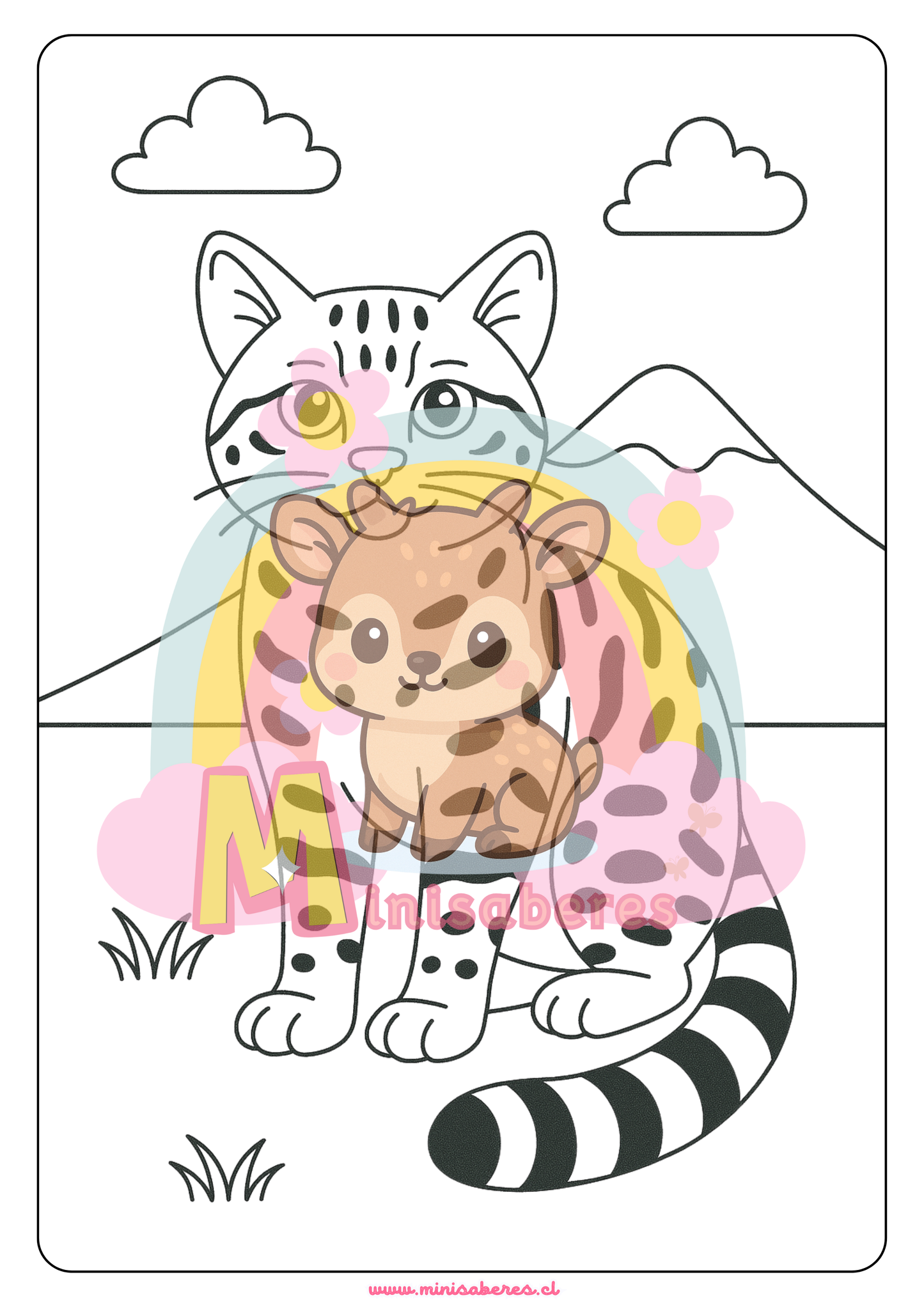 Libro para colorear - Animales Nativos (Zona Norte)