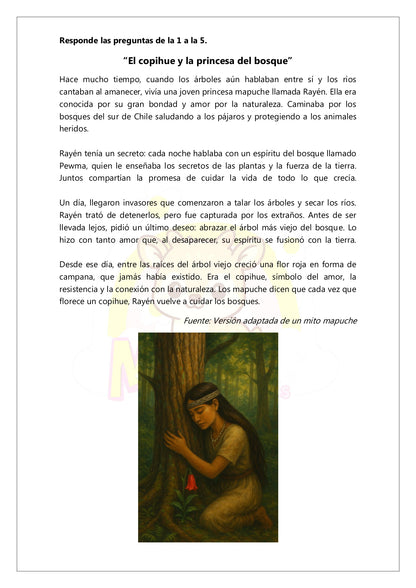 Ensayo SIMCE Lenguaje 6° Básico – N°1