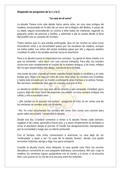 Ensayo SIMCE Lenguaje 8° Básico – N°2
