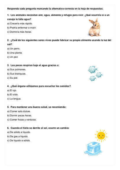 Ensayo SIMCE A - Ciencias 2° básico