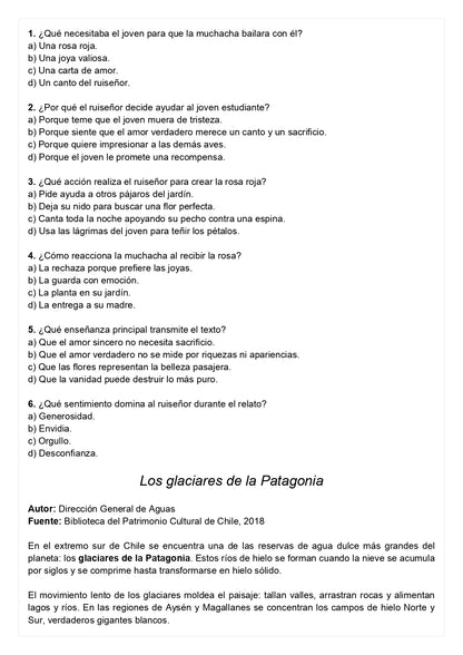Ensayo SIMCE A - Lenguaje 6° básico