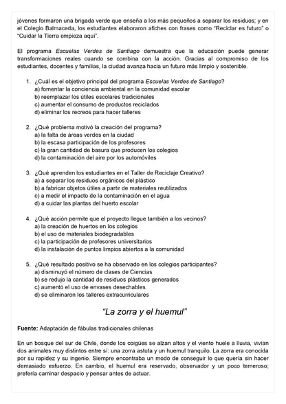 Ensayo SIMCE A - Lenguaje 8° básico