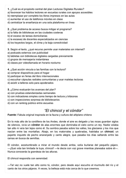 Ensayo SIMCE B - Lenguaje 8° básico