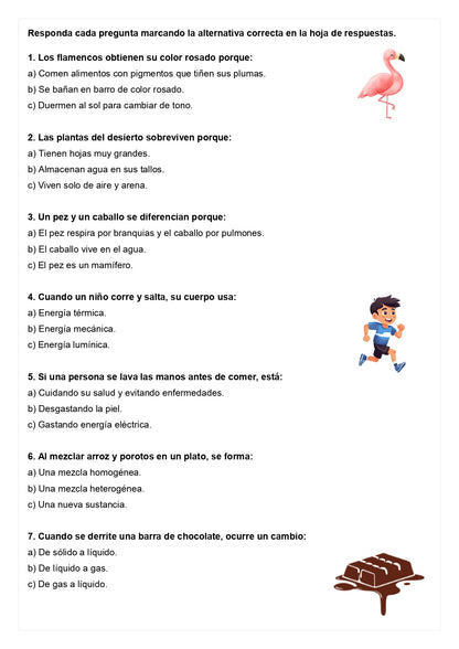Ensayo SIMCE C - Ciencias 2° básico