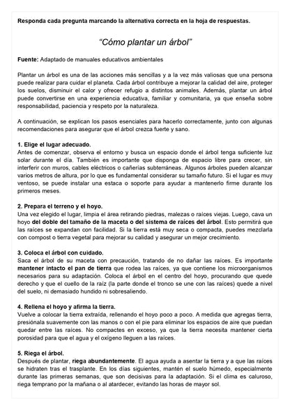 Ensayo SIMCE D - Lenguaje 8° básico