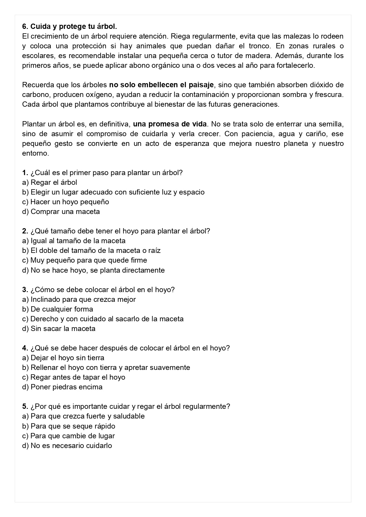 Ensayo SIMCE D - Lenguaje 8° básico