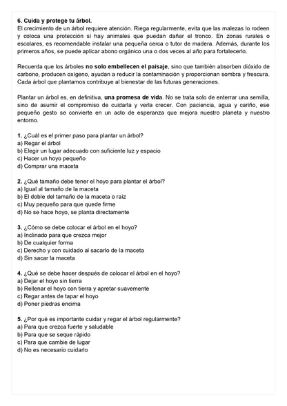 Ensayo SIMCE D - Lenguaje 8° básico