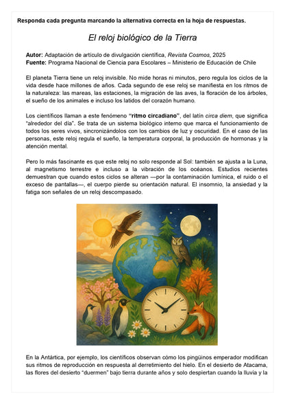 Ensayo SIMCE E - Lenguaje 6° básico