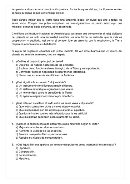 Ensayo SIMCE E - Lenguaje 6° básico